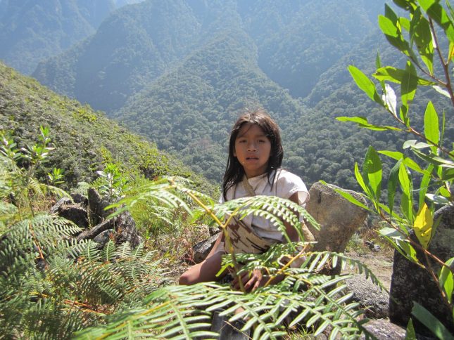 img_0356_16436245330_o img o