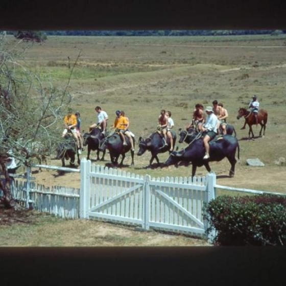 dagen&#AmazonePantanalenRiodeJaneiro