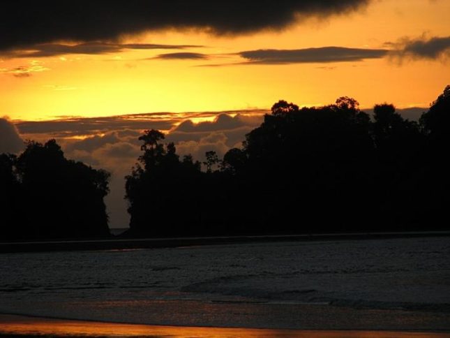 dagenhumboldtiniridaonontdekteamazone