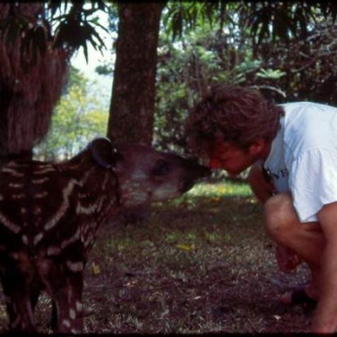 dagen&#AmazonePantanalenRiodeJaneiro