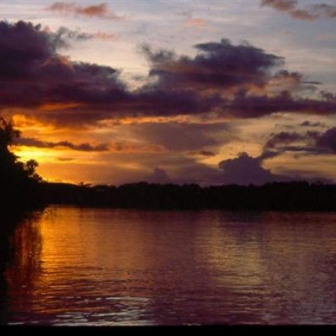 dagen&#AmazonePantanalenRiodeJaneiro