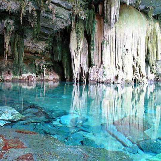 dagen&#AmazonePantanalenRiodeJaneiro