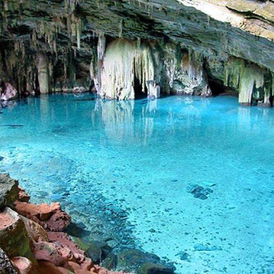 dagen&#AmazonePantanalenRiodeJaneiro