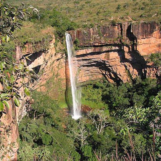 dagen&#AmazonePantanalenRiodeJaneiro