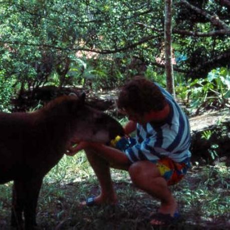 dagen&#AmazonePantanalenRiodeJaneiro