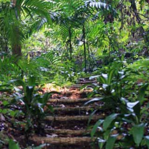 Panama
