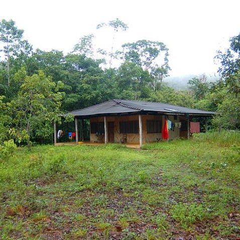 dagen&#Onbekendeamazone