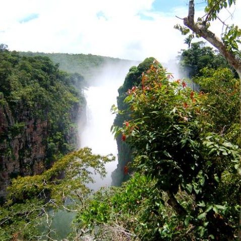 dagen&#Onbekendeamazone