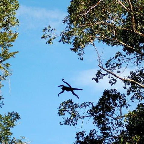 dagen&#Onbekendeamazone