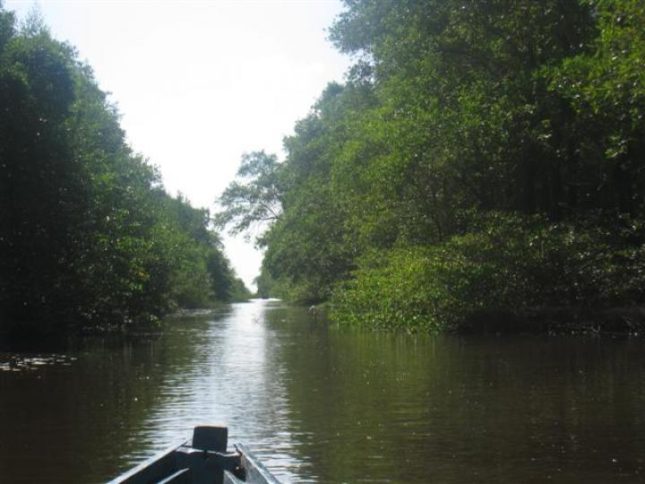 Suriname
