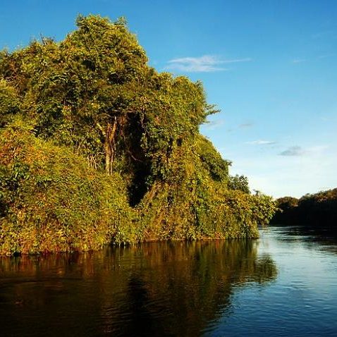 dagen&#Onbekendeamazone