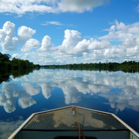 dagen&#Onbekendeamazone