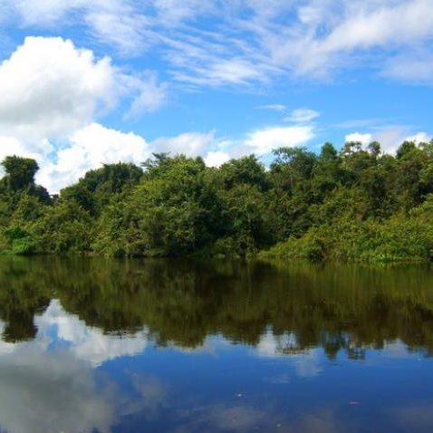 dagen&#Onbekendeamazone