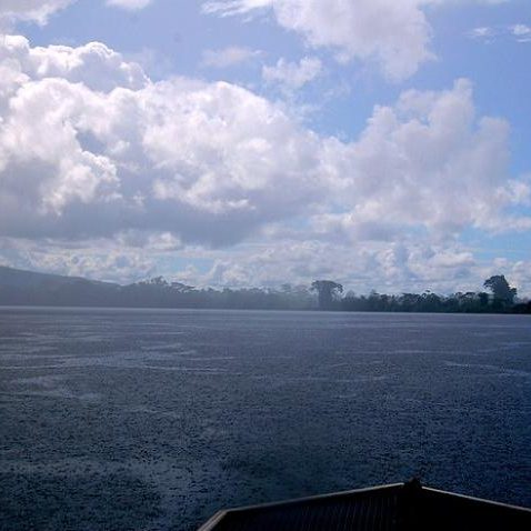 dagen&#Onbekendeamazone