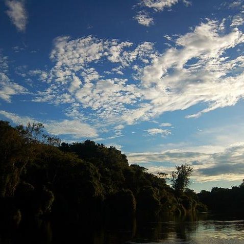 dagen&#Onbekendeamazone