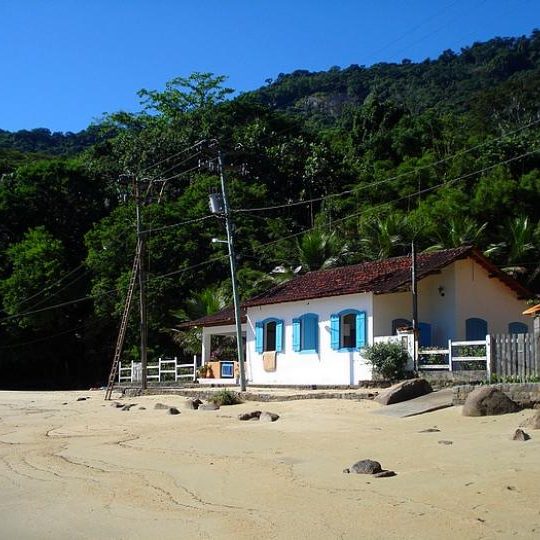 dagen&#Onbekendeamazone