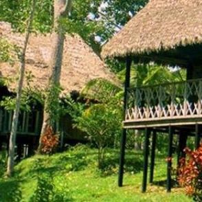 dagen&#ZuidPeru,hikenenjungle