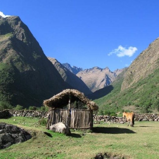 dagen&#ZuidPeru,hikenenjungle