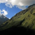 dagen&#ZuidPeru,hikenenjungle