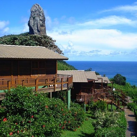 dagen&#NatuurlijkBrazilie