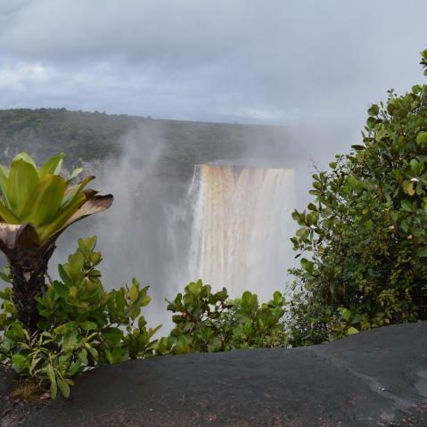 Guyana