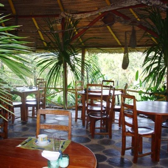 dagen&#ThelostworldamazoneenRiodeJaneiro