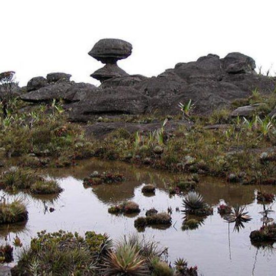 dagenhoogtepuntenvenezuela