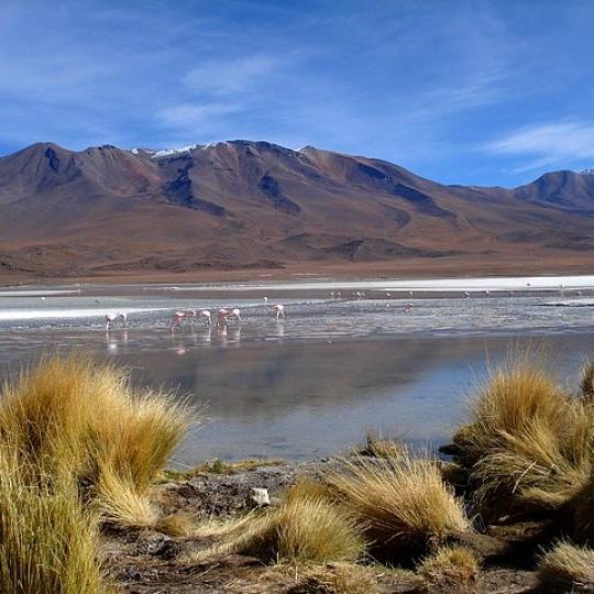 Chili, Bolivia en Brazilie