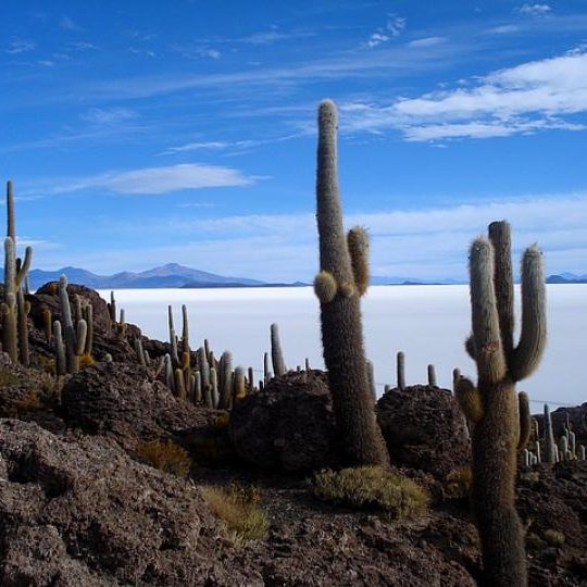 Chili, Bolivia en Brazilie