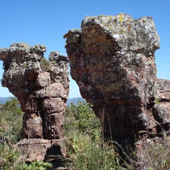 dagen&#AmazonePantanalenRiodeJaneiro