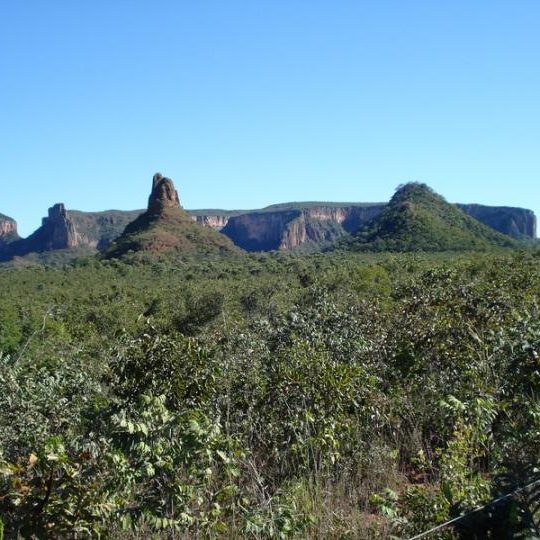 dagen&#AmazonePantanalenRiodeJaneiro