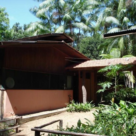 dagen&#AmazonePantanalenRiodeJaneiro