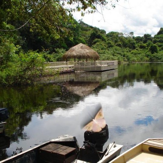 dagen&#AmazonePantanalenRiodeJaneiro