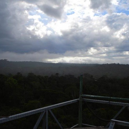 dagen&#AmazonePantanalenRiodeJaneiro