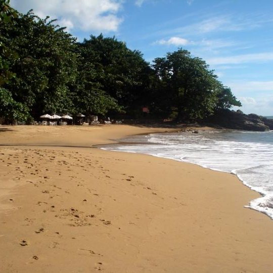 dagen&#AmazonePantanalenRiodeJaneiro