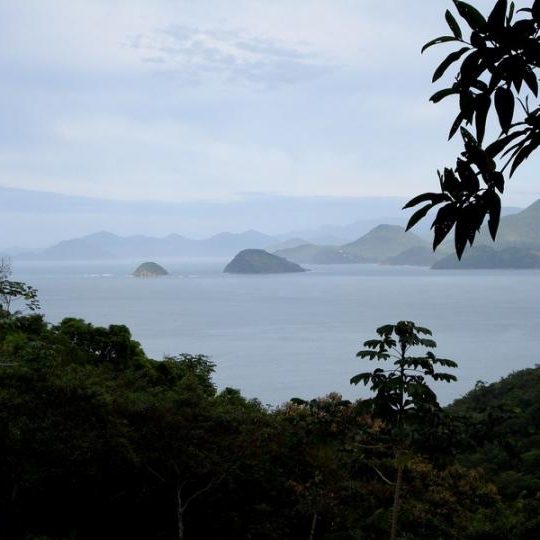 dagen&#AmazonePantanalenRiodeJaneiro