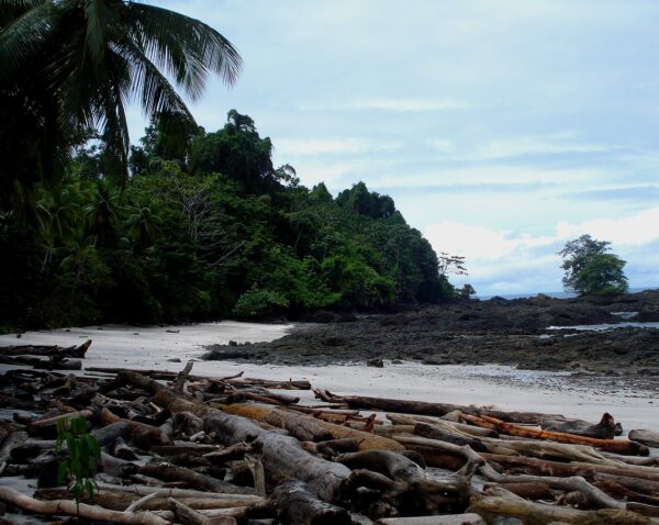 Colombia – Marjet Berendsen