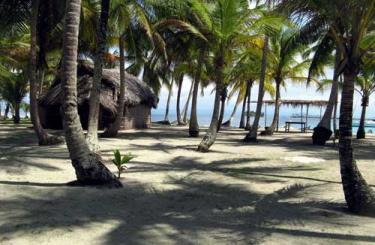Dolphin Lodge San Blas
