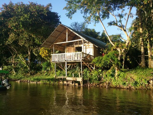 Thumbnail 19 dagen – Jungle, wildlife, vulkanen & tropische stranden Thumbnail  dagen Jungle wildlife vulkanen tropische stranden