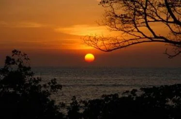 tamarindo tamarindo