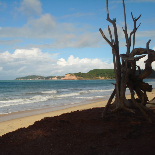 dagen&#ActievestrandvakantieBrazilië