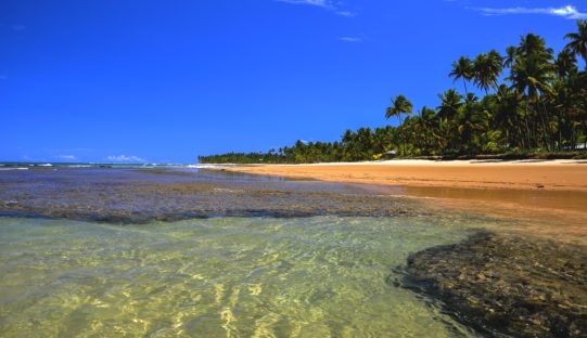 dagen&#BahiareismetChapadaDiamantinatrekking