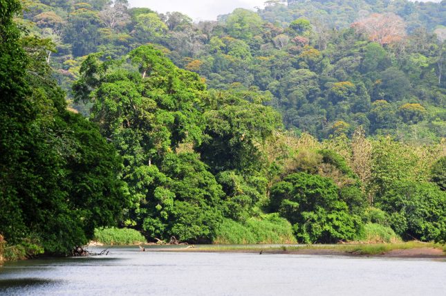 Thumbnail  dagen Op ontdekking in Costa Rica