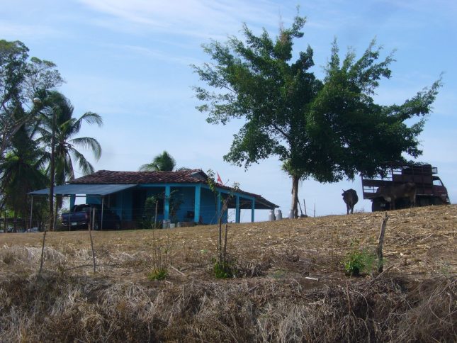 Thumbnail 19 dagen – Natuur & authentiek Panama Natuur authentiek Panama