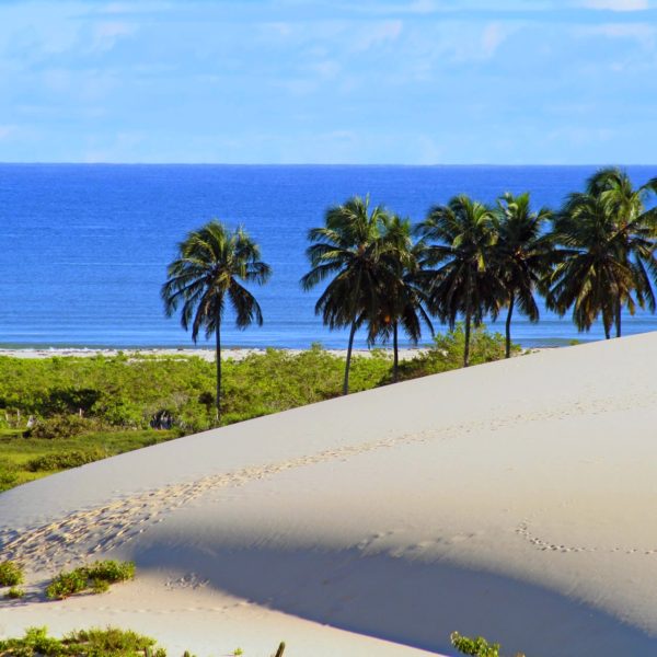 jericoacoara