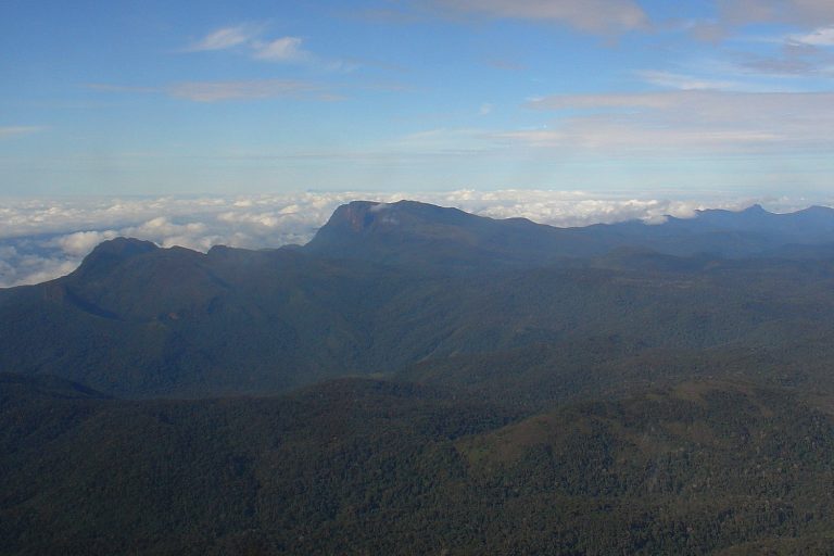 thumbnail  dagen – Humboldt – Inirida – Onontdekte