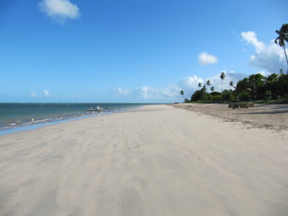 dagen&#RoadtripRecife–Salvador