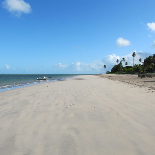 dagen&#RoadtripRecife–Salvador