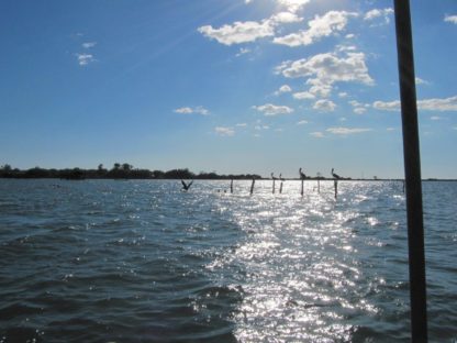 Dagen–ElSalvadorTotaalIndividueel