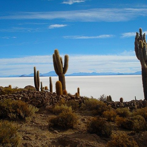 Eiland Uyuni